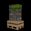 More-saplings