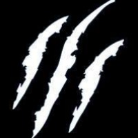 BuzzardModding