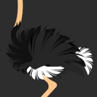 jungle_strudsen