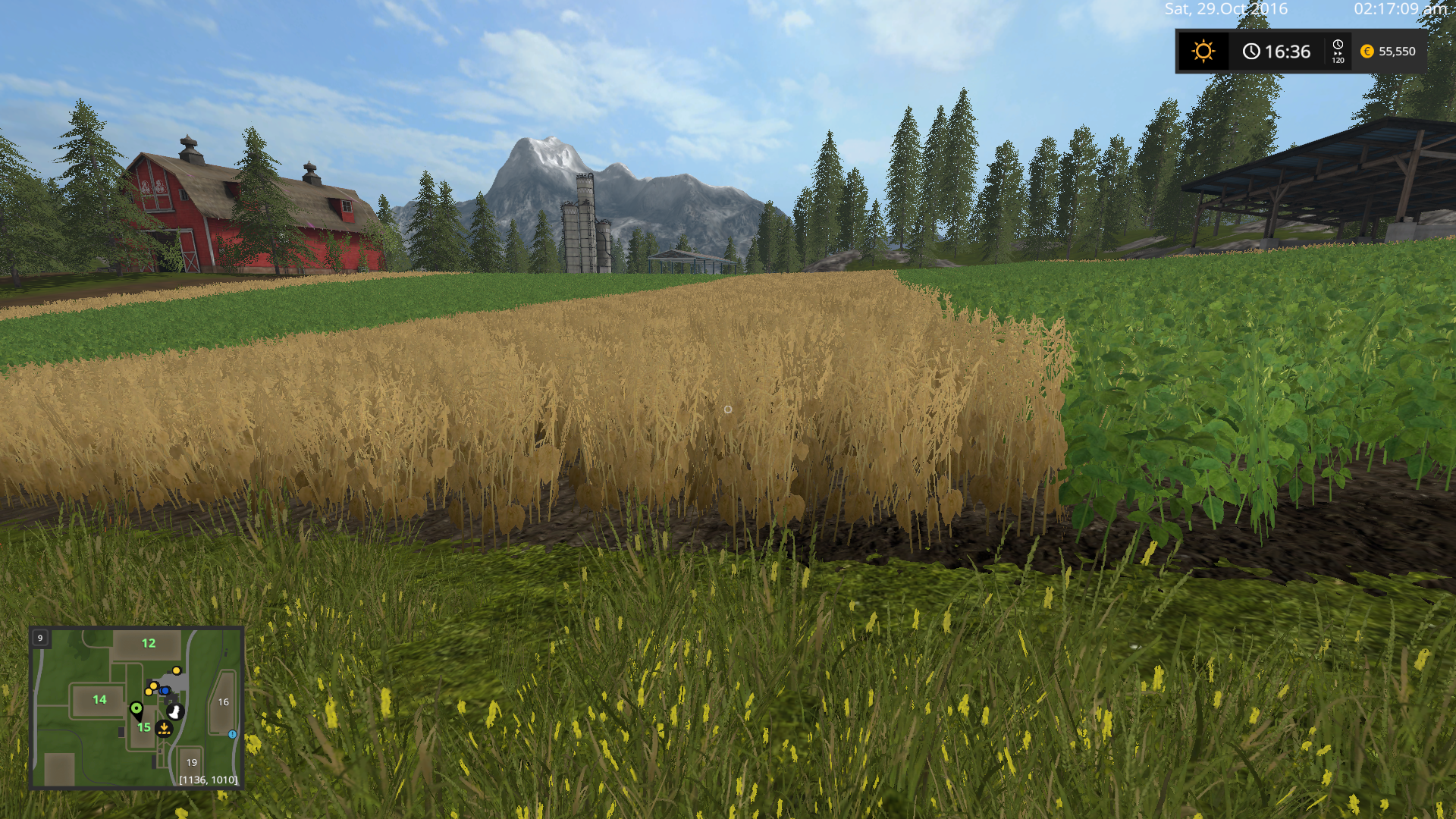 growthManager - Thumbnail 1