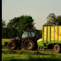 steinar86