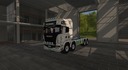 Scania-r730-itrunner-weis