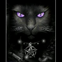 mystikcat-nicole