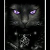 mystikcat-nicole avatar