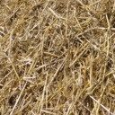 Real_grass_hay_straw