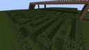 Labyrinth--10