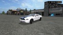 Lizard-road-rage-shelby--2