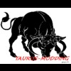 Taurus-Modding avatar