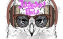 Issoseer-Modpack-With-cheat mods