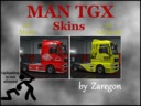 Man-tgx-xxl-skins-by-zaregon