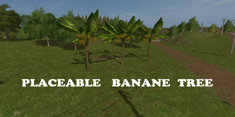 Banana Tree / FS22 mod for all platforms 