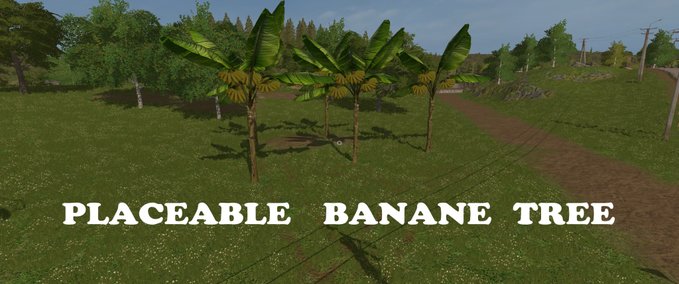 Platzierbare Objekte Placeable Banane Tree Landwirtschafts Simulator mod