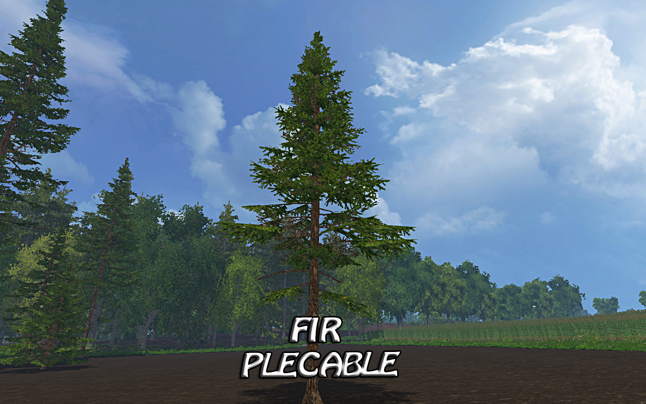 fir placable - Thumbnail 1