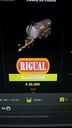Rigual-12000