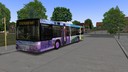 Man-nl-263-2-turen-countryside-vs-city-repaint