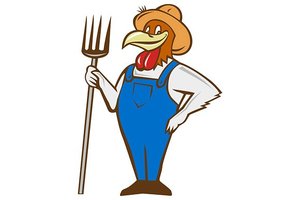 farmsimsteve