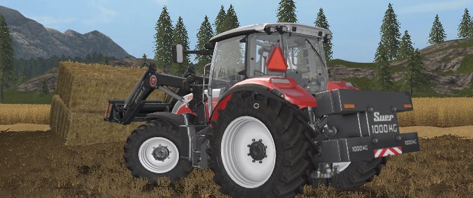 Gewichte suerSB1000kg_Eigenbau Landwirtschafts Simulator mod