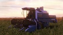 Bizon-newholland-rekord-z058