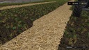 Real-straw-texture