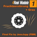 4-real-modul1-fruchtzerstorung