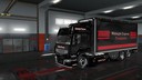 Renault-skin