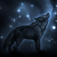 Painwulf