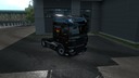 Daf_xf_sabdskin