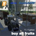 Buy-all-fruits-1-1-price