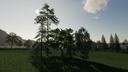 Platzierbare-baume--2