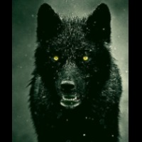 BlackWolve