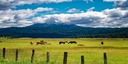 Landfields