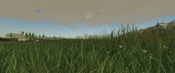 Texturen Grasstexturen FS19 Landwirtschafts Simulator mod