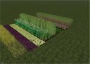 Template-map-fruit