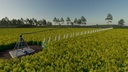 Pivot-lindsay-zimmatic-124m