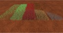 Foliage_mohn-textur