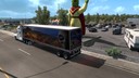 New Mexico trailer skin 28-53 foot ownership