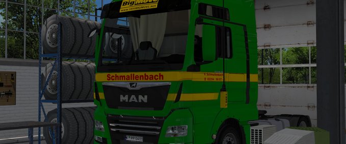 Skins MAN TGX Euro 6 by MADster Spedition Schmallenbach Eurotruck Simulator mod