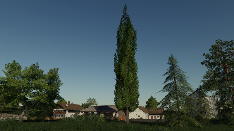 Fs19 More Trees Placeable V 1010 Placeable Objects Mod Für Farming Simulator 19 2663