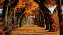 Fs19-autumn-herbst-2019-menu-background-by-crowercz