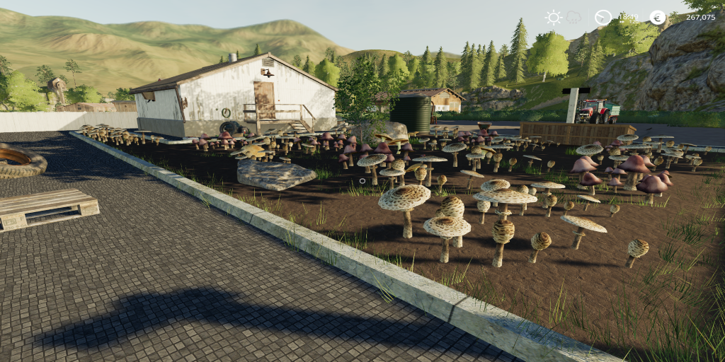 Mushroom Production - Thumbnail 1
