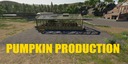 Pumpkin-production
