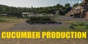 Cucumber-production