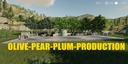 Olive-production