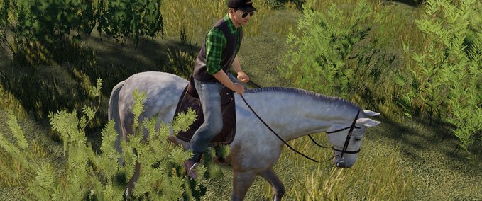 Sonstige Fahrzeuge Pferd Landwirtschafts Simulator mod