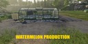 Watermelon-production