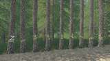 Platzierbare Rückegassenbäume Kiefer Mod Thumbnail