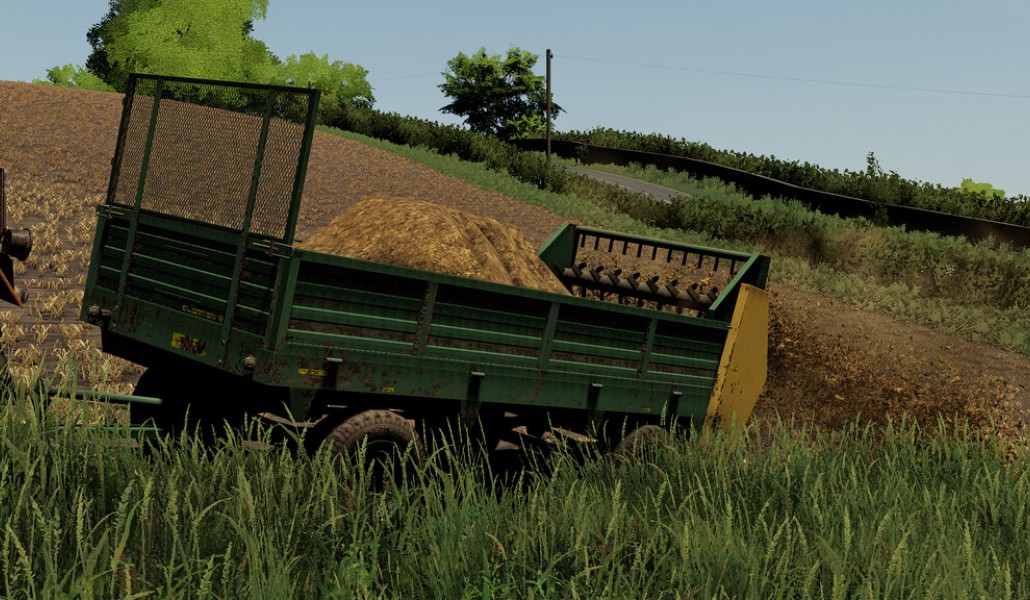Lizard N-235/1 - Thumbnail 1