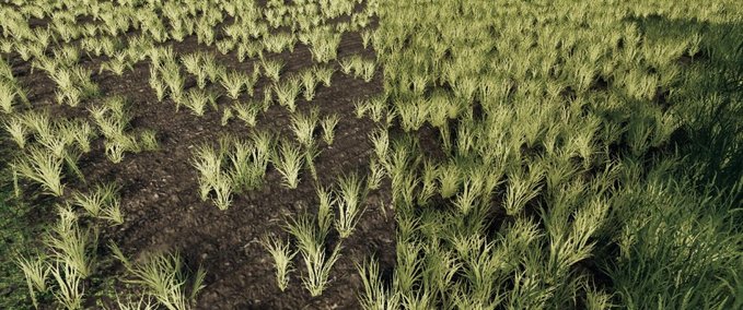 Maps Better Wheat Barley Landwirtschafts Simulator mod