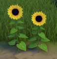 Decorative Sunflower Mod Thumbnail