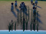 Decorative reeds Mod Thumbnail